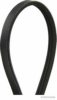 HERTH+BUSS JAKOPARTS J1030888 V-Ribbed Belts